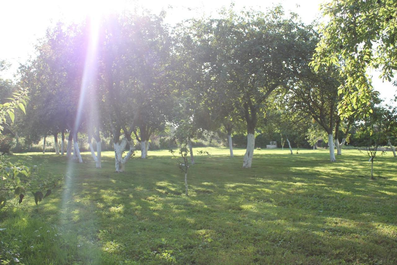 Chambre D'Hotes Le Domaine De La Vallee Saint-Martin-de-Varreville Εξωτερικό φωτογραφία